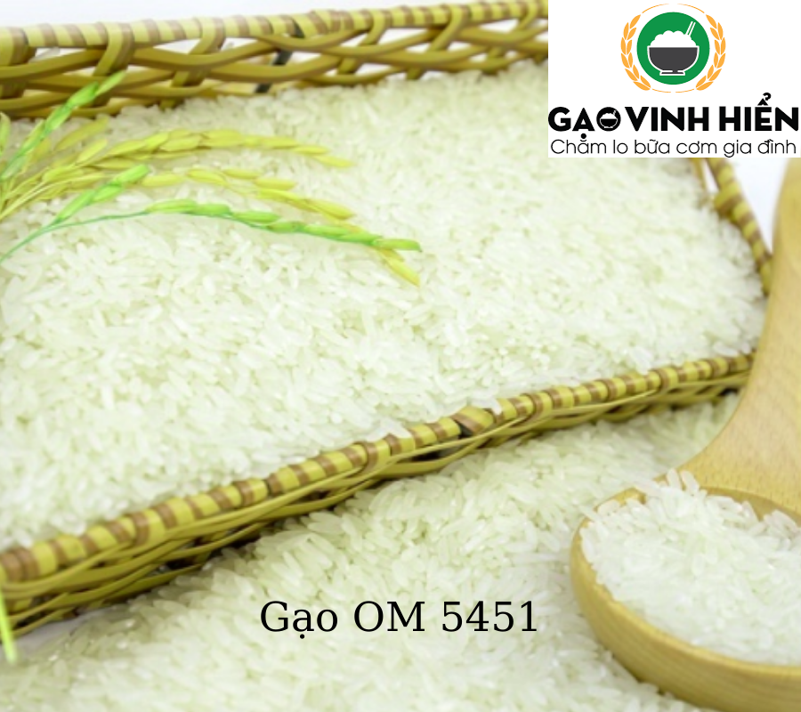 Giống lúa OM-5451 có những điểm ưu việt nào?